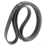 Комплект приводного ремня SKF VKMA 38209 596683 VKM 38219 VKM 38209 - Изображение 4
