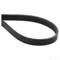 Комплект приводного ремня SKF VKMA 32302 596465 VKM 32023 VKMV 5PK1150 - Изображение 5