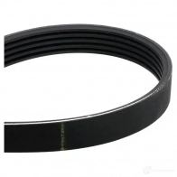 Комплект приводного ремня SKF VKM 35260 VKMA 35260 VKMV 5PK1546 596593 - Изображение 5
