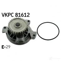 Водяной насос, помпа SKF 7316587013825 VKPC 81612 599066 OX P3A1 - Изображение 5