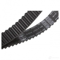 Комплект ремня ГРМ с помпой SKF VKMC 03316 597106 VKMA 03316 VKN 1005 - Изображение 6