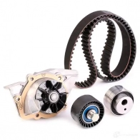 Комплект ремня ГРМ с помпой SKF VKMC 03213 VKMA 03213 597079 VKPC 83636 - Изображение 3