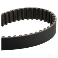 Комплект ремня ГРМ с помпой SKF 597100 VKMA 03263 VKMC 03263 VKPA 83650 - Изображение 2