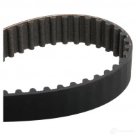 Комплект ремня ГРМ с помпой SKF VKMA 03241 VKMC 03241-2 597088 VKN 1009 - Изображение 2
