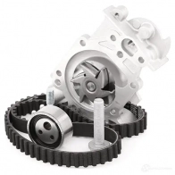 Комплект ремня ГРМ с помпой SKF VKMA 06010 597160 VKPC 86215 VKMC 06010 - Изображение 4