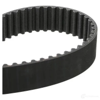 Комплект ремня ГРМ с помпой SKF VKPC 99407 597255 VKMC 98109 VKMA 98109 - Изображение 2
