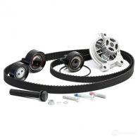 Комплект ремня ГРМ с помпой SKF VKPC 86619 VKMC 01258-1 597003 VKMA 01258 - Изображение 5