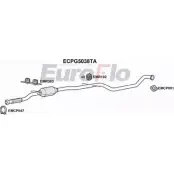 Катализатор EUROFLO 4349214 9DZD HP ECPG5038TA 79TGCU
