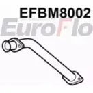 Выхлопная труба глушителя EUROFLO 4350369 F 1F6S62 O8787 EFBM8002