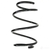 Пружина подвески GKN SPIDAN C RSJJ 56973 4019064423294 Bmw Z4 (E85, E86) 1 2003 – 2009