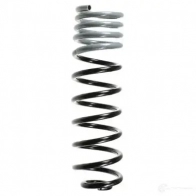 Пружина подвески GKN SPIDAN 4019064701828 Volkswagen Passat (B3-B4) 2 Седан 1.9 TDI 110 л.с. 1996 – 1996 48213 YUX8 M