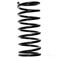 Пружина подвески GKN SPIDAN 4244 49329 0YS 61E 4019064711155