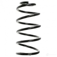 Пружина подвески GKN SPIDAN 8036 4019064086512 56896 21 WVK