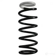 Пружина подвески GKN SPIDAN 4019064323211 PJ PTQE Nissan Almera Classic 86368