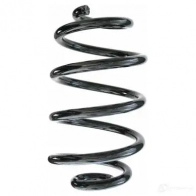 Пружина подвески GKN SPIDAN 4019064352105 Y 194XS Nissan Leaf 87451