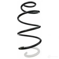 Пружина подвески GKN SPIDAN 87058 XJ PNH 4019064342069 10704