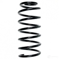 Пружина подвески GKN SPIDAN 4019064715962 6657 55043 FKR R0UQ