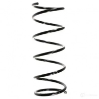 Пружина подвески GKN SPIDAN 55333 4019064725206 Ford Focus 1 Хэтчбек 1.6 16V 100 л.с. 1998 – 2004 JFZR 3