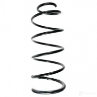 Пружина подвески GKN SPIDAN 4019064079545 Citroen C4 1 (LA, PF2) Купе 85007 NEB B8