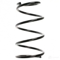 Пружина подвески GKN SPIDAN Suzuki Swift (HT, SF) 1 1991 – 2004 4019064642077 56704 WE9 PG