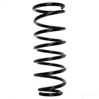 Пружина подвески GKN SPIDAN QZ5K O8W Nissan Patrol 55918 4019064434047