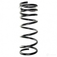 Пружина подвески GKN SPIDAN Nissan Patrol N 5VEIO 4019064434108 55924