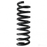 Пружина подвески GKN SPIDAN Chrysler Crossfire 85599 8 YS2PJP 4019064791423