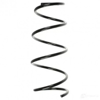 Пружина подвески GKN SPIDAN 4019064436188 Renault Clio 56132 O6 0YQ9