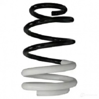Пружина подвески GKN SPIDAN Renault Clio (BR, CR) 3 Хэтчбек 1.5 dCi (BR1C. CR1C) 103 л.с. 2005 – 2025 88009 UB15N T