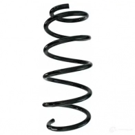 Пружина подвески GKN SPIDAN 4019064354772 1204175434 87510 29 C2SH