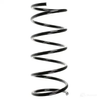 Пружина подвески GKN SPIDAN W EBQ9 Ford Puma 1 (CCE) 1997 – 2003 4019064711971 49401