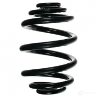 Пружина подвески GKN SPIDAN 4019064423263 QXJCF 4 8109 56970