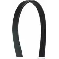 Приводной ремень, поликлиновой MAGNETI MARELLI J10 40675 600000000550 0TK8OL 1193779292
