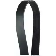 Приводной ремень, поликлиновой MAGNETI MARELLI J10708 10 600000002400 1193779521 MVJE1B
