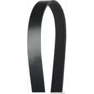 Приводной ремень, поликлиновой MAGNETI MARELLI 600000002690 J107197 5 RASP2 1193779550