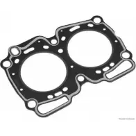 Прокладка ГБЦ, головки блока цилиндров MAGNETI MARELLI 600000026490 1193781939 J125 7010 P6DBF2