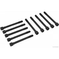 Болты ГБЦ, головки блока цилиндров MAGNETI MARELLI 600000026830 J1280 500 RQZ6PA 1193781971