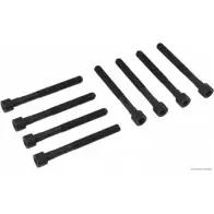 Болты ГБЦ, головки блока цилиндров MAGNETI MARELLI 600000026870 J1280 504 RIBMTL 1193781975