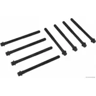 Болты ГБЦ, головки блока цилиндров MAGNETI MARELLI J 1280508 1193781977 9NXDX3D 600000026890