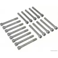 Болты ГБЦ, головки блока цилиндров MAGNETI MARELLI 600000026900 WZBN6 1193781978 J128050 9