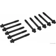 Болты ГБЦ, головки блока цилиндров MAGNETI MARELLI 600000026980 TL0CZ J128 0518 1193781985