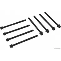 Болты ГБЦ, головки блока цилиндров MAGNETI MARELLI 600000026990 J12 80519 OHPIT 1193781986