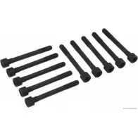 Болты ГБЦ, головки блока цилиндров MAGNETI MARELLI 1193781995 WGQVICY J128 1024 600000027080