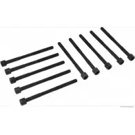 Болты ГБЦ, головки блока цилиндров MAGNETI MARELLI 4SKF3HD J12820 01 600000027230 1193782010