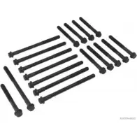Болты ГБЦ, головки блока цилиндров MAGNETI MARELLI 600000027260 1193782013 J12820 06 RP4L2C