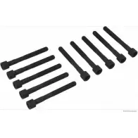 Болты ГБЦ, головки блока цилиндров MAGNETI MARELLI 600000027300 1193782017 J 1282020 5Z5V12T