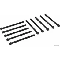 Болты ГБЦ, головки блока цилиндров MAGNETI MARELLI 600000027320 J1 282023 1193782019 8LWBL