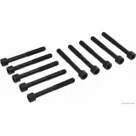 Болты ГБЦ, головки блока цилиндров MAGNETI MARELLI P8RJDYG 600000027470 1193782033 J12 83007