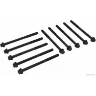 Болты ГБЦ, головки блока цилиндров MAGNETI MARELLI 1193782044 600000027580 J1 284006 W789P6