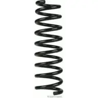 Пружина MAGNETI MARELLI J4 410301 5NRBOTD 1193794701 600000134450